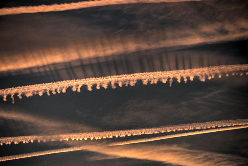 Jet contrails in the evening