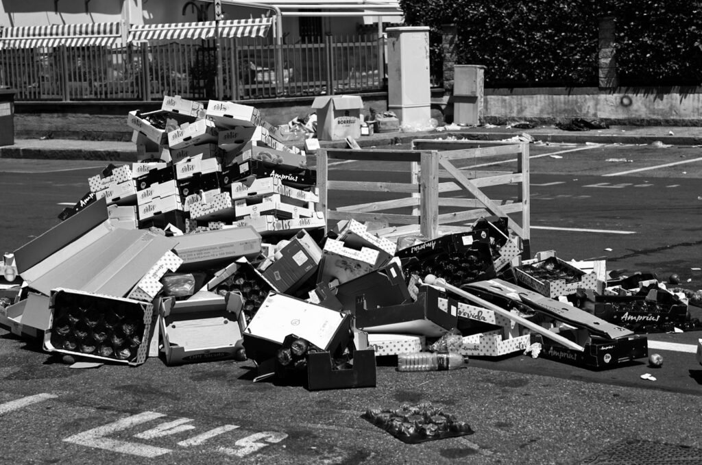 Echoes on the asphalt 16
